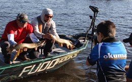 Stiuci, bibani, Okuma, Garmin, lacul Snagov. Tu ce faci pe 23-25 octombrie?